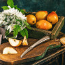Овощной нож SAMURA REPTILE SRP-0010/Y (SRP-0010/K)